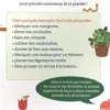 80 activités nature. Mes découvertes écolos pour protéger la planète !, Isabelle Nicolle