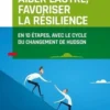 Aider l'autre, favoriser la résilience. En 10 étapes avec le cycle du changement d'Hudson, François Vergonjeanne