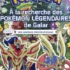 A la recherche des Pokémon légendaires de Galar. Une aventure cherche-et-trouve. Avec 60 stickers, Nintendo