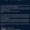 Alécanthia. Tome 1, Les cristaux de la Destinée, S.Owl