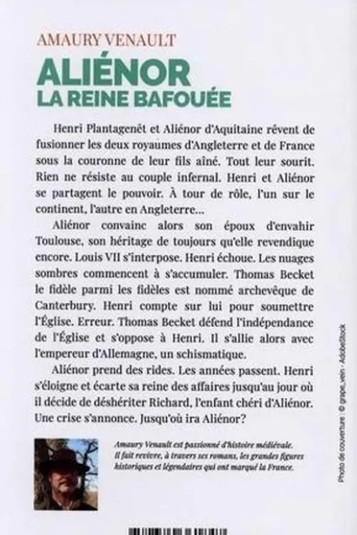 Aliénor Tome 2 : La reine bafouée, Amaury Venault