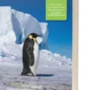 Antarctica wildlife, Tony Soper