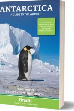 Antarctica wildlife, Tony Soper