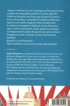 Antigone à Molenbeek, Stefan Hertmans