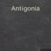 Antigonia, Viatcheslav Répine