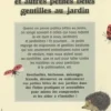 Attirer coccinelles et autres petites bêtes gentilles au jardin. Les alliés d'un jardin au naturel, Laurent Renault