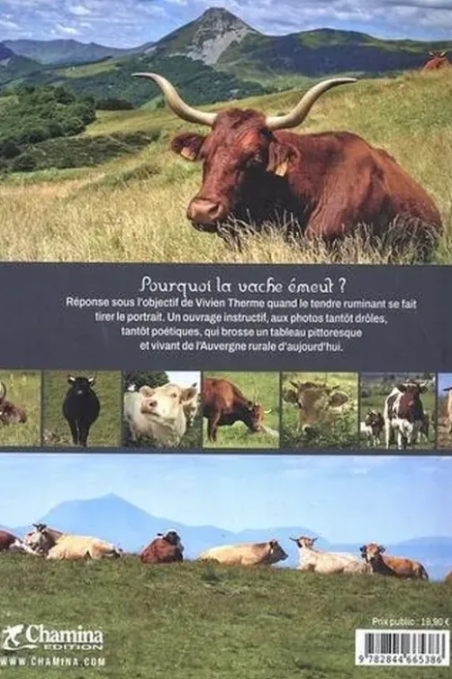 Auvergne montagne à vaches, Vivien Therme