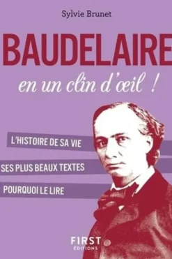 Baudelaire en un clin d'oeil !, Sylvie H. Brunet