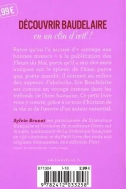 Baudelaire en un clin d'oeil !, Sylvie H. Brunet
