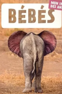 Bebés, Naturagency