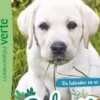 Bienvenue au refuge Tome 8 : Un labrador en or, Pascal Ruter