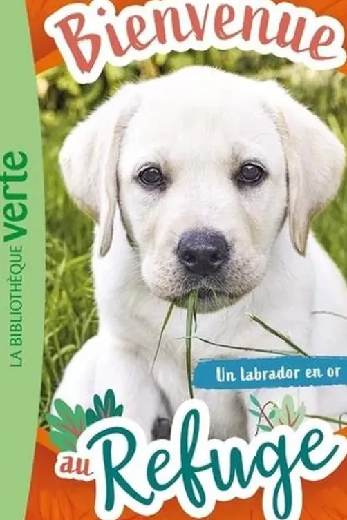 Bienvenue au refuge Tome 8 : Un labrador en or, Pascal Ruter
