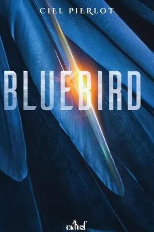 Bluebird, Ciel Pierlot