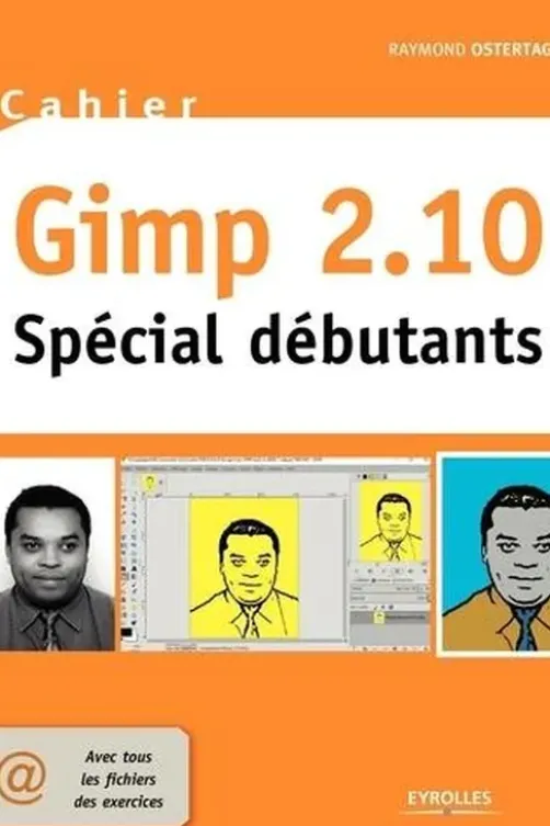 Cahier Gimp 2.10. Spécial débutants, Raymond Ostertag