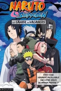 Cahiers de vacances Naruto Shippuden, Larousse