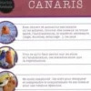 Canaris, Harro Hieronimus