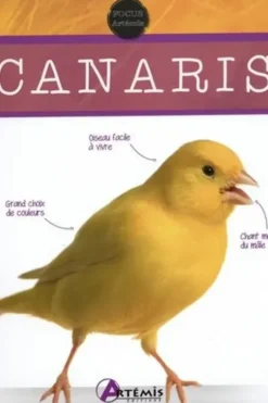 Canaris, Harro Hieronimus