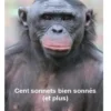 Cent sonnets bien sonnés (et plus). Leçons animalières, Jean-Pierre Bocquet