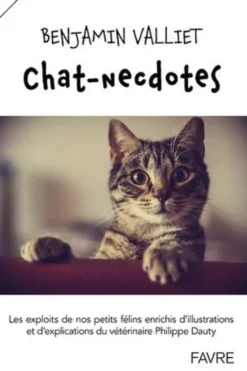 Chat-necdotes, Benjamin Valliet