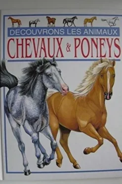 Chevaux & poneys, Lucia Ceccaldi