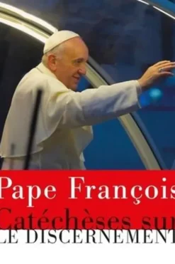 Comment discerner ensemble ? Synode et discernement, Pape François