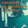 Comment s'occuper un dimanche d’élection, François Bégaudeau