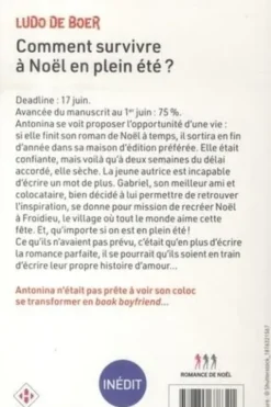 Comment survivre à Noël en plein été ?, Ludo De Boer