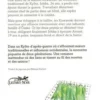 Couteau et Piment Vert Tome 1, Yuki Isoya