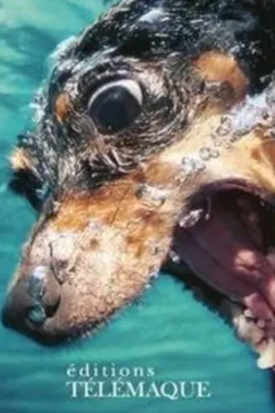 Crazy dogs. Les chiens les plus cabots de la publicité mondiale, Benjamin Garrigues