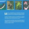 Curiosités géologiques de Mayotte. 2e édition, Pierrick Graviou