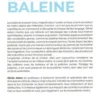 Dans la tête d'une baleine, Olivier Adam