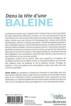 Dans la tête d'une baleine, Olivier Adam