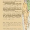 Dans l'œil du voyageur, Bernard Walliser