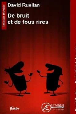 De bruit et de fous rires, David Ruellan