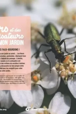 Des fleurs et des pollinisateurs plein mon jardin. Accueillir, observer, comprendre, protéger, Sylvie La Spina