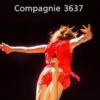 Des illusions, Compagnie 3637