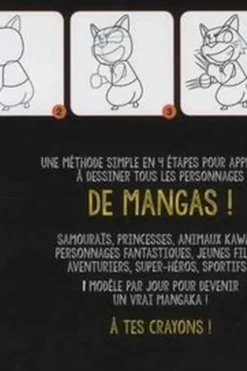 365 dessins manga pour toute l'année, Van Huy Ta