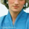 Diana. Princesse des larmes, Amandine Deslandes