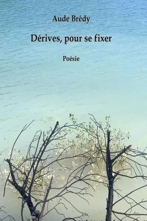 Dérives pour se fixer, Aude Bredy