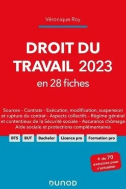 Droit du travail en 28 fiches. Edition 2023, Véronique Roy
