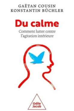 Du calme ! Comment lutter contre l'agitation intérieure, Gaëtan Cousin