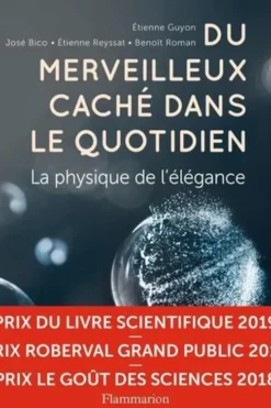Du merveilleux caché dans le quotidien. La physique de l'élégance, Etienne Guyon