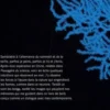 Echo. Carnets d'atelier (2017-2022), Fabienne Verdier