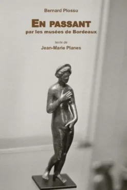 En passant par les musées de Bordeaux, Bernard Plossu