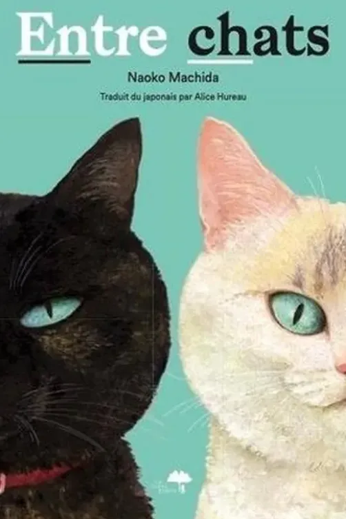 Entre chats, Naoko Machida