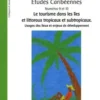 Etudes Caribéennes N° 9 et 10 : Le tourisme dans les îles et littoraux tropicaux et subtropicaux. Usages des lieux et enjeux de développement, Olivier Dehoorne