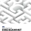 Etudes françaises de renseignement et de cyber N° 3, PUF