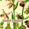 Europe N° 1152, avril 2025 : André Dhôtel / Eric Sarner, Jean-Baptiste Para
