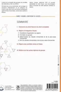 Fiscalité des groupes de sociétés DSCG UE1. Fiches de cours, Edition 2022-2023, Agnès Lieutier