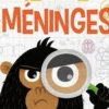 Grand livre de remue-méninges, Beatrice Tinarelli